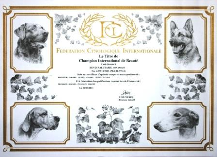 C.I.B Hendi Salutaris C.I.B Hendi Salutaris