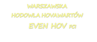 Hodowla psów rasy hovawart - Even Hov