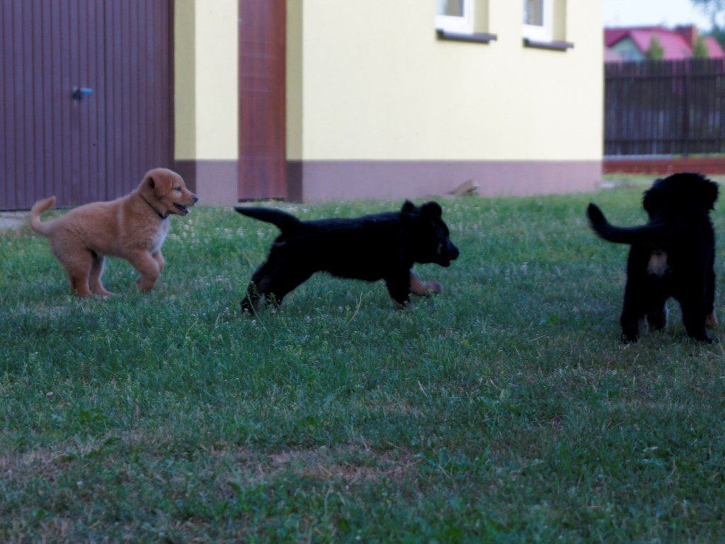 Miot J Miot I