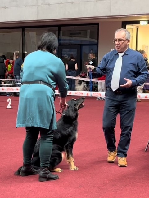 KORINA KORALKA Tu Pilnuje wystawa w Grodzisku Mazowieckim